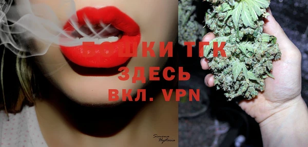 хмурый Аркадак