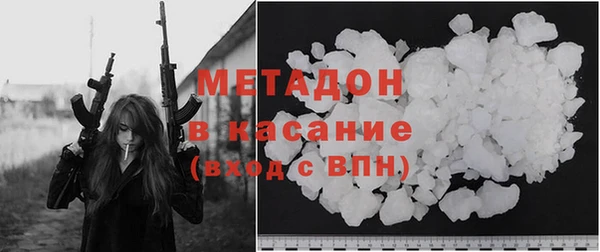 хмурый Аркадак