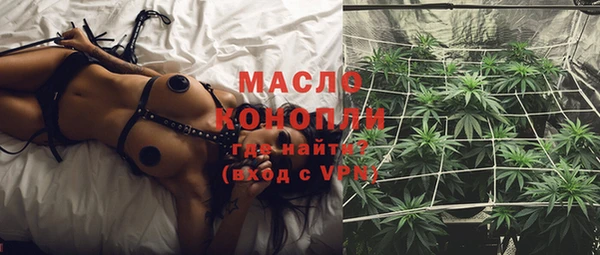 хмурый Аркадак