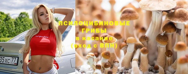 винт Армянск