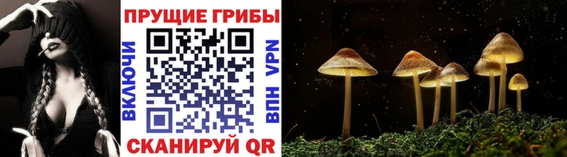 Псилоцибиновые грибы прущие грибы  Северо-Курильск 